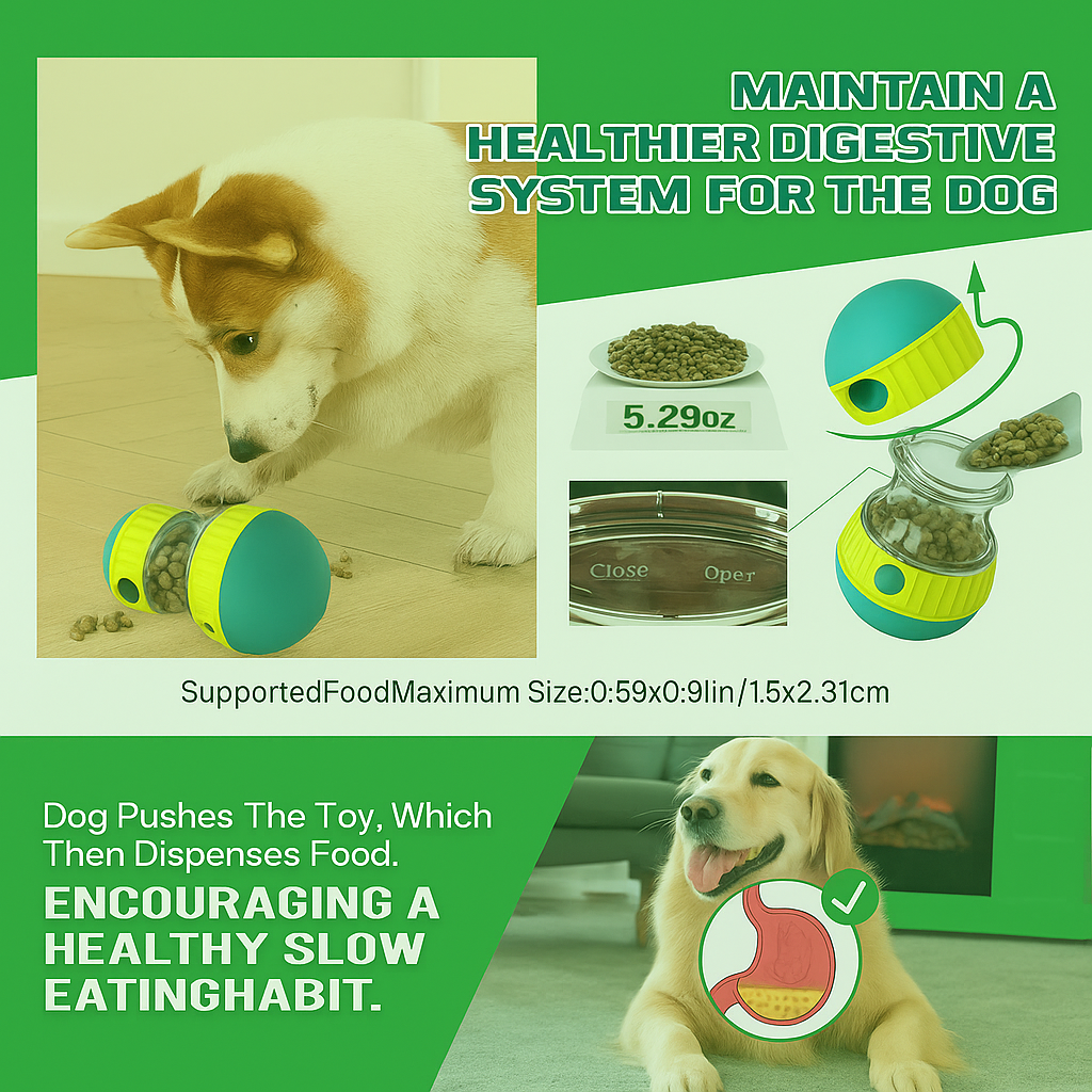 ALLWAYZZ™ BrainBoost Feeder Toy