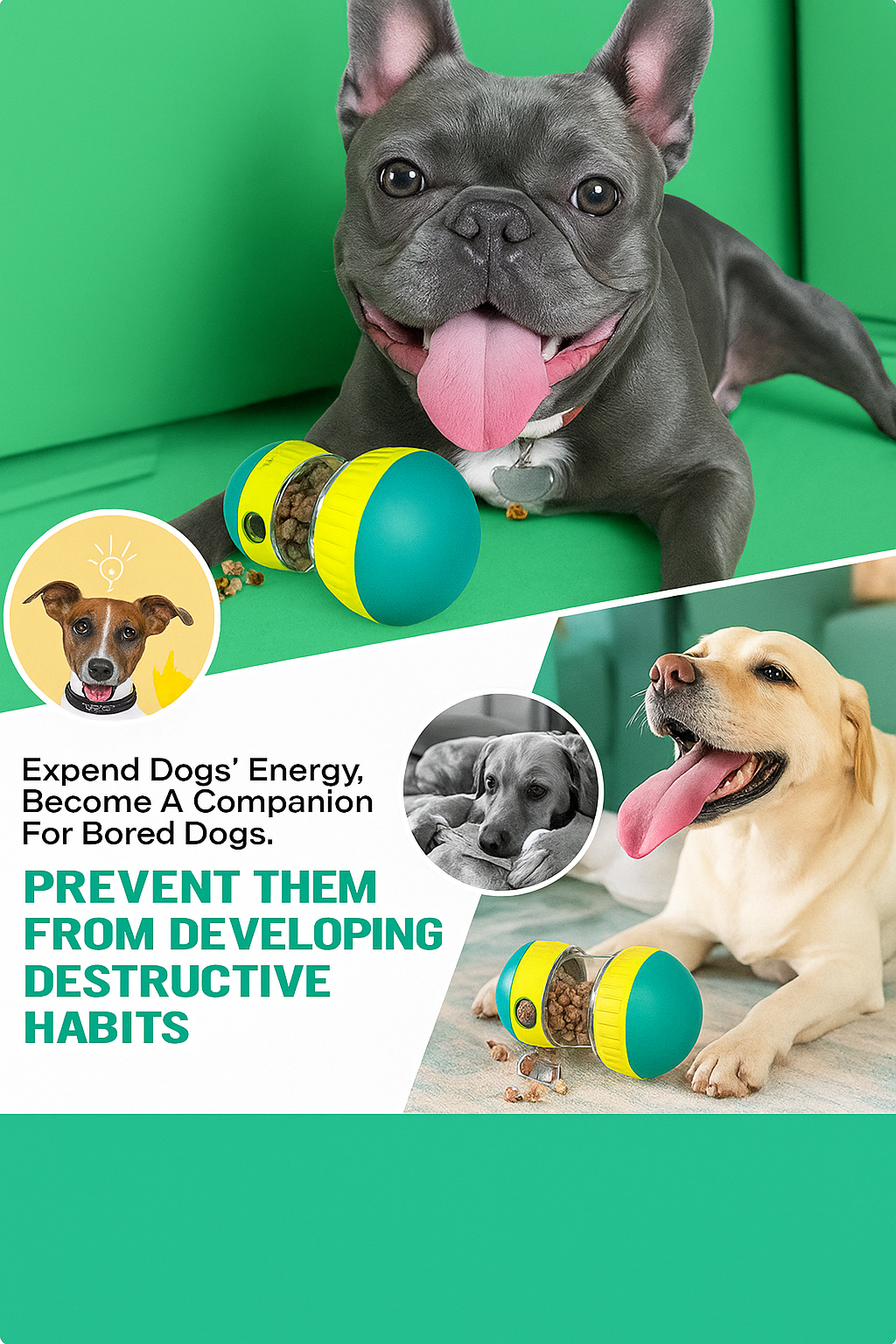 ALLWAYZZ™ BrainBoost Feeder Toy