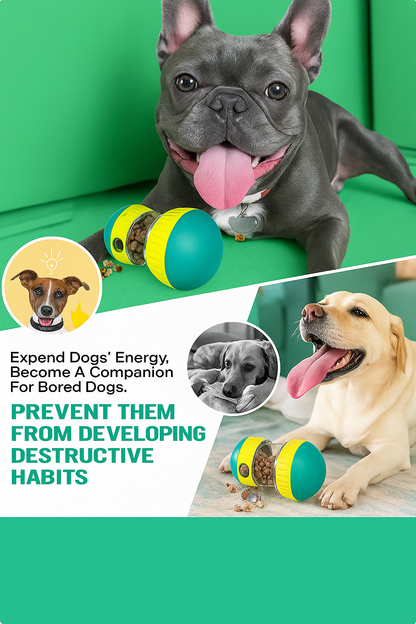 ALLWAYZZ™ BrainBoost Feeder Toy